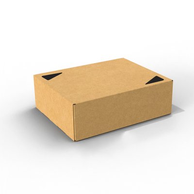 Самосборная коробка 313x250x100 бурая - 2 кг НП с треугольником 02032 фото