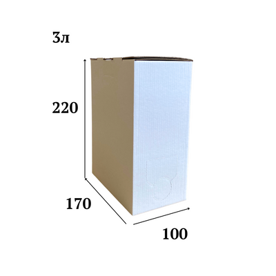 Коробка для Bag-in-Box обьем 3л 170х100х220мм, белая 01515 фото